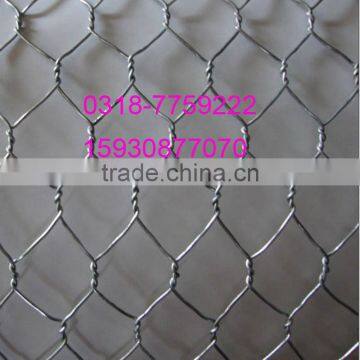 Hot sale galvanized chicken wire hexagonal wire netting