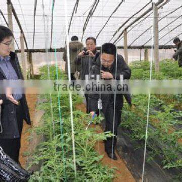 Vegetable Pollination Machine/Tomato Pollinator photo-2