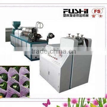 PE Foam Net Extrusion Machine(FS-FPW70)