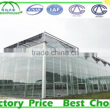 Commercial Frp Greenhouse for Agricultural photo-4