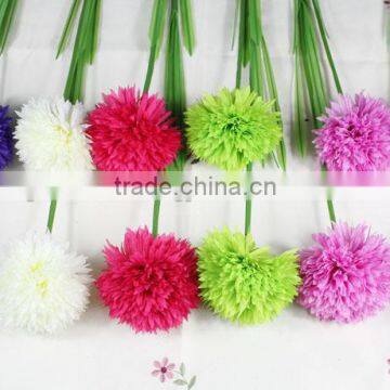 SJ13001115 Loyal Decorative 2 Heads Onion Flowers Sell by Factory Price photo-2