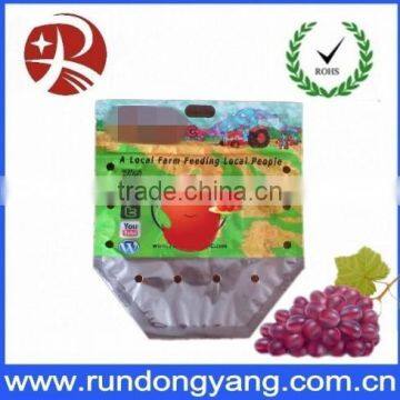 Stand Up Pouch Fruit Packaging Bag With Handle photo-2