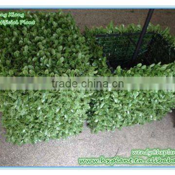 ARTIFICIAL BOXWOOD HEDGE MADE IN CHINA photo-4