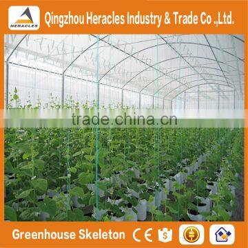 Heracles Economical Plastic Commercial low cost multi span plastic greenhouses with automatic irrigation system