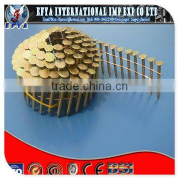 hot selling screw shank coil nails