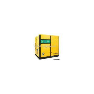 Screw Air Compressor