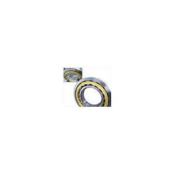 High precision cylindrical roller bearings single row , GCr15 NU216ECM