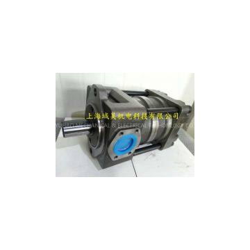 IGP6-H080F Internal Gear Pump photo-3