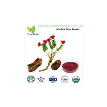 rhodiola rosea powder extract,natural rhodiola rosea powder extract,rhodiola rosea extract