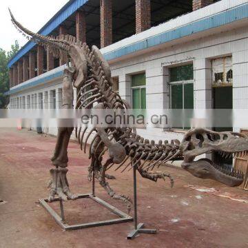 2015 Dinosaur Skeleton Model for Dinosaur Park for Kid photo-5