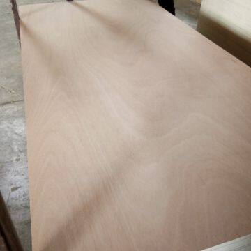 18mm Thick 4x8 Hot Sale Commercial Plywood Made in China