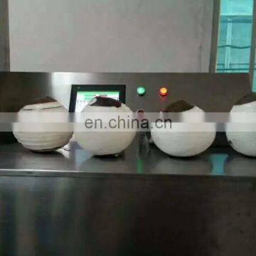Automatic Fruit Peeling Machine Industrial Pineapple Chips Making Machine photo-5