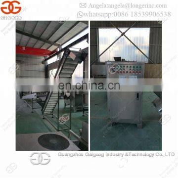 CE Approved Cashew Nut Pistachio Nut Toasting Equipment Cacao Bean Roaster Machine Pumpkin Seeds Sunflower Seeds Roasting Line photo-5