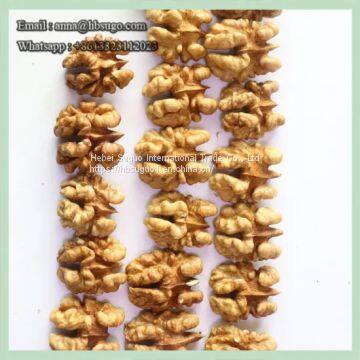 Various Sizes Walnut Kernels Supplier First Quality Walnut Kernel photo-5