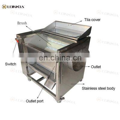 industrial carrot potato washing and peeling machine / cassava cleaning peeler for export