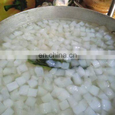 Nata De Coco In Syrup/ Coconut Jelly/ Raw Nata De Coco For Food