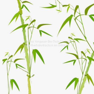 Bamboo Extract 10:1 TLC, Bamboo leaf Extract, Bamboo leaves Extract, Bamboo shoot Extract