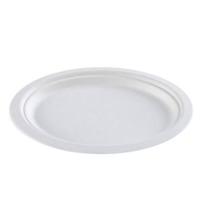 Disposable Biodegradable Bagasse 7*10 Inch Oval Plate Take Away Sugarcane photo-2
