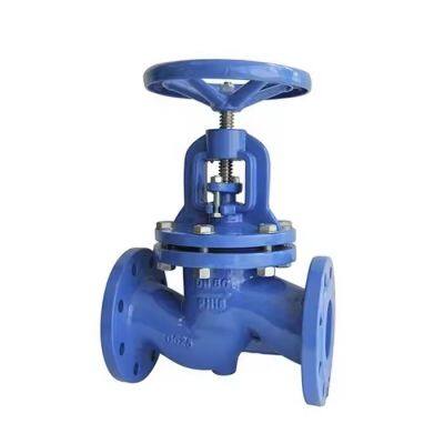 Pn16 Ductile Iron Cast Iron Steam Bellow Seal Water Control Globe Valve Price