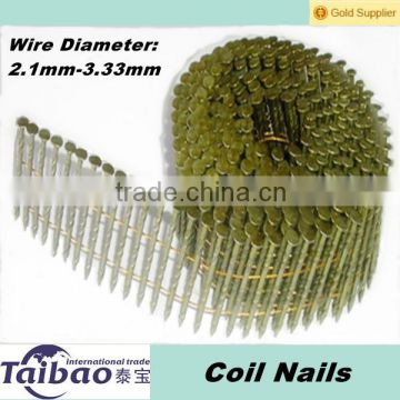 Coil nails in roll form for pneumatic nail gun