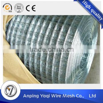 low price bird cage welded wire mesh roll