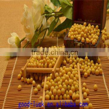 soya beans ,non-GMO,good quality,cheap price