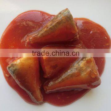 canned mackerel with tomato sauce