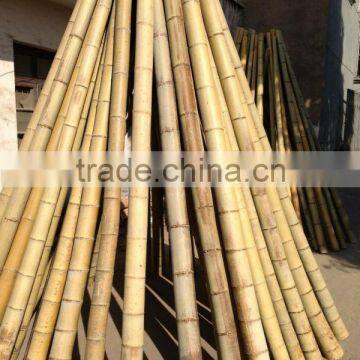 Solid bamboo pole