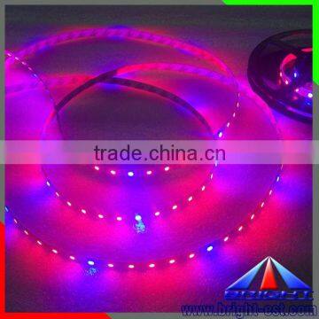 Red and Blue 660nm 440m Led Strip Light