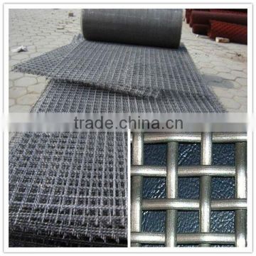 2013 high quality hot sale crimped wire mesh