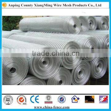 Galvanized Welded Wire Mesh For Fence Panel