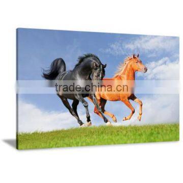 HD Wall Art Giclee Horse Canvas Printed Painting Room Decor DWYS18