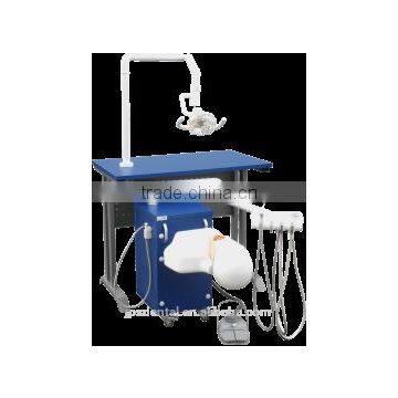 Medical Training Models For Dental clinnic colleage