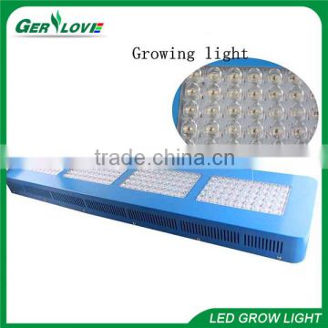 Dropshipping rohs led grow light 1000 watt growing led light for plant growth led grow light 1000w