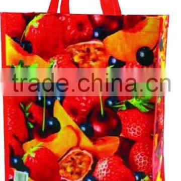 China Supplier Avon Audit pp Woven Bag photo-6