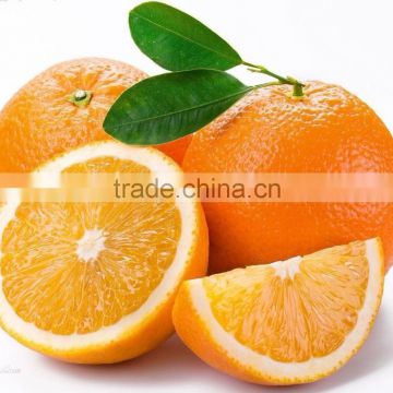 Fresh Gannan Navel Orange, best quality China Navel Orange