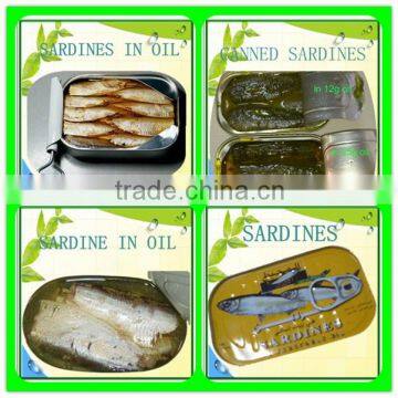 Canned Pilchards