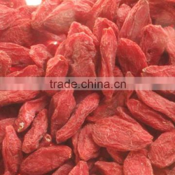 The best goji.BNP 100% Xinjiang certified organic goji berry