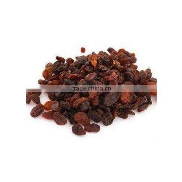Golden Raisin photo-5