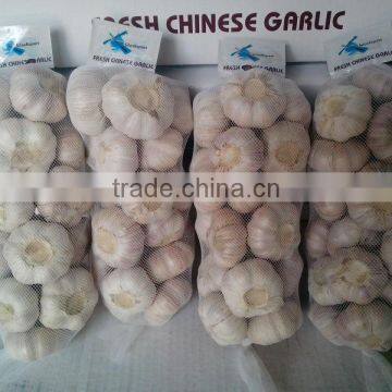 Fresh Garlic/ail Frais photo-4