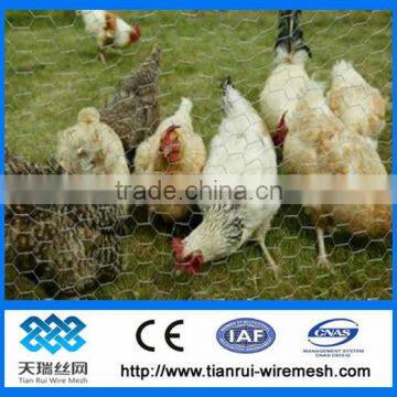 chicken wire netting/pvc coated chicken wire mesh/pvc coated and galvanized hexagonal wire mesh