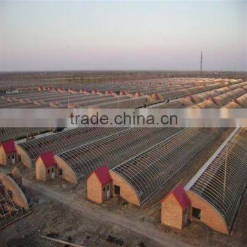 PC Sheet Venlos Greenhouse Polycarbonate Greenhouse for Agriculture Growing photo-6