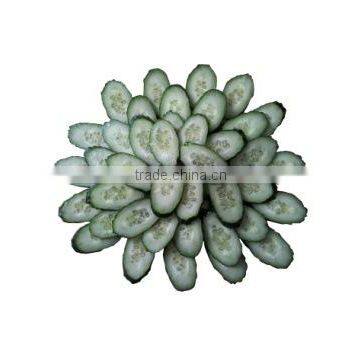 OULENO Corm Qiecai Machine Automatic Slicing Machine / Universal Bar Ding Chopping Machine Use of a Machine Sausage Casing photo-3