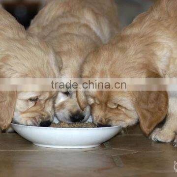 Multifunctional Pet Food Making Machine photo-5