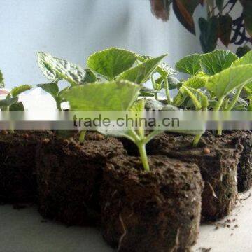 Top Grade Best Choice Rice Transplanter Seedling Tray photo-5