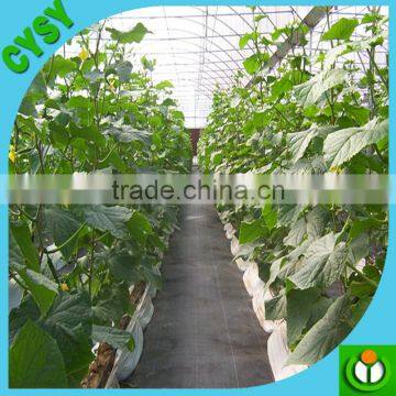 Agricultural Greenhouse pp Ground Cover Fabric Black Weed Mat photo-5