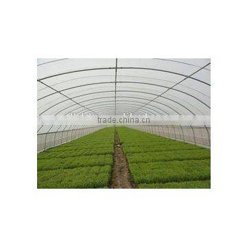 Baolida Single Span Green House photo-5