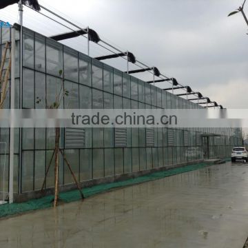 Tempered Glass Greenhouse/Hydroponics Greenhouse/Commercial Greenhouse