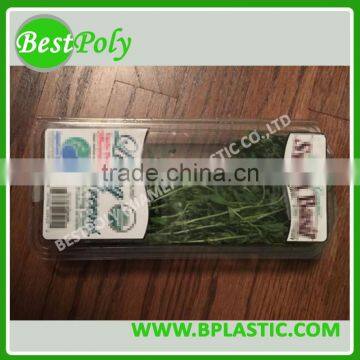 Side Open Box Plastic, Plastic Shaped Box, Plastic Wholesale Sushi Box photo-2