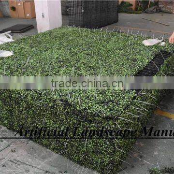 Outdoor Artificial Boxwood Hedge Hot Sale With Milan Grass for Decoration photo-3